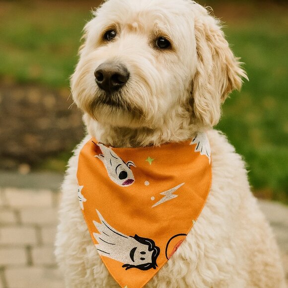 Hyde & EEK! Reversible Ghost & Pumpkin Glow-in-the-Dark Halloween Dog Bandana - Picture 1 of 4